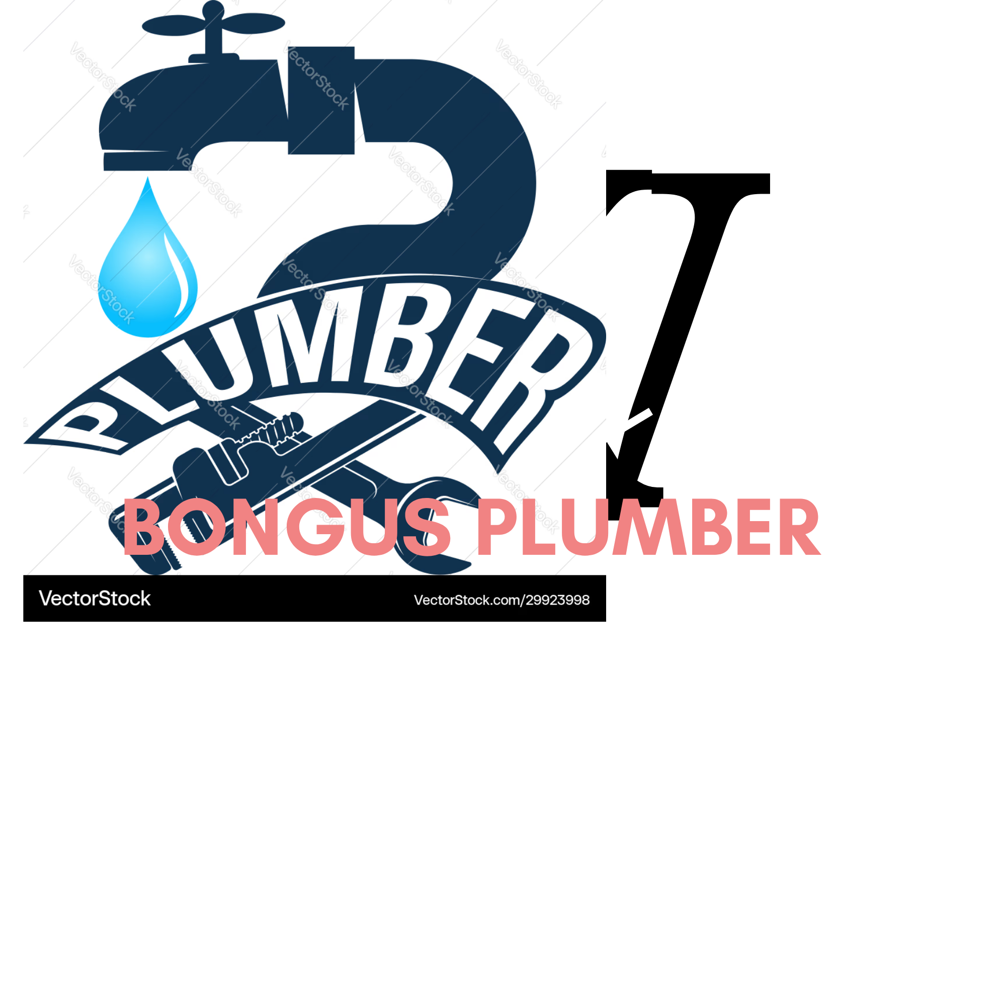 Bongus Plumbers